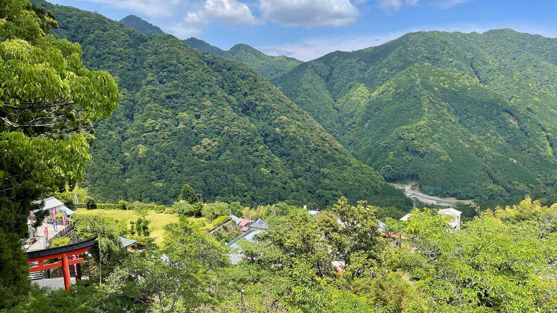 ここからの景色もいいですね🙂