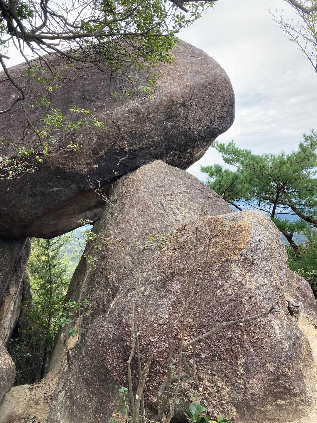 どうしてこうなった？