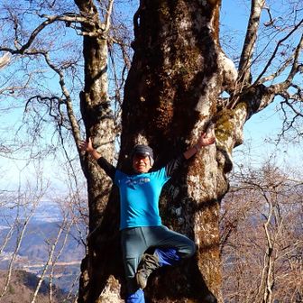 丹沢といえばブナの稜線