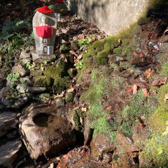 今年もありがとうございました