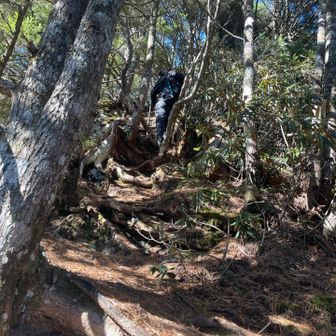 まだまだ急登あり
