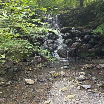 ここの滝も野趣あふれて素敵