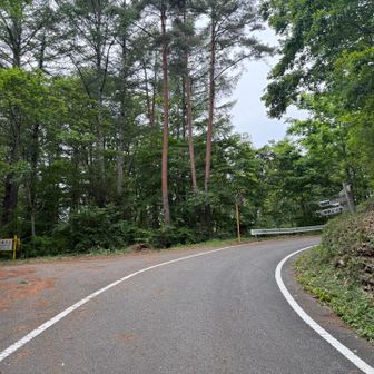 金ヶ岳登り始めた登山口へ戻ってきました