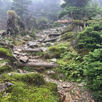 下山は明るくなりました。