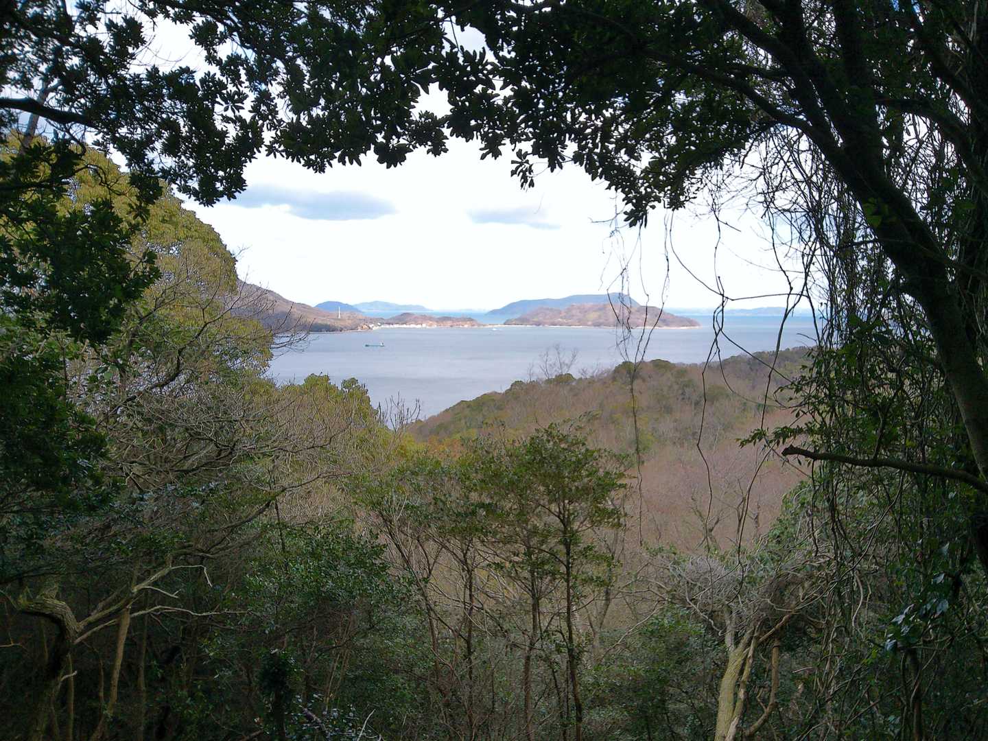 立石山-横峯山 往復コースの写真