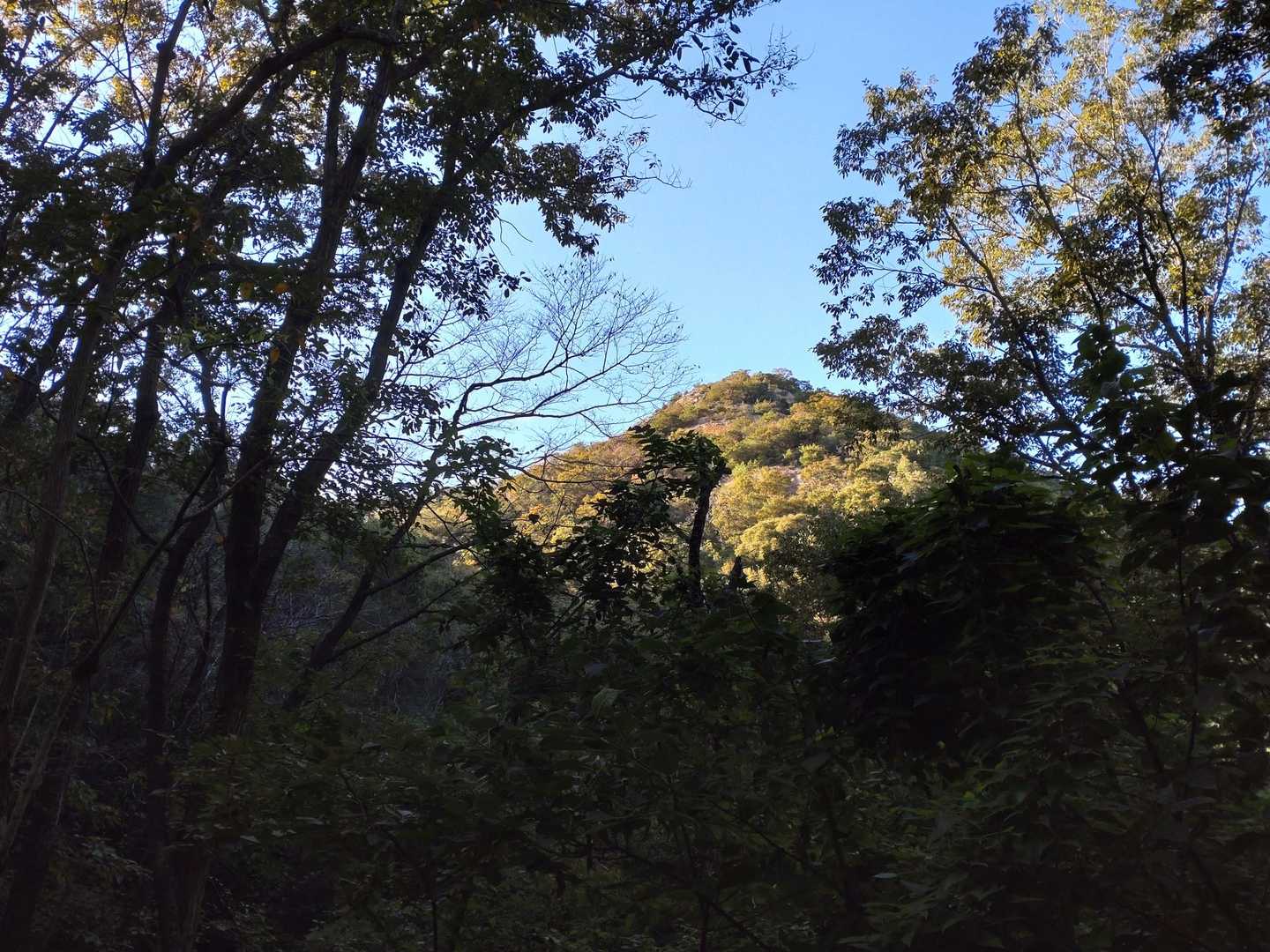 紅山見えた！🤭