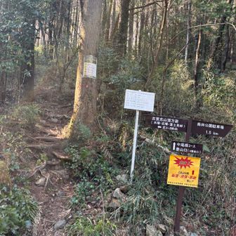 分岐たくさん。だから古賀志は奥が深い✨