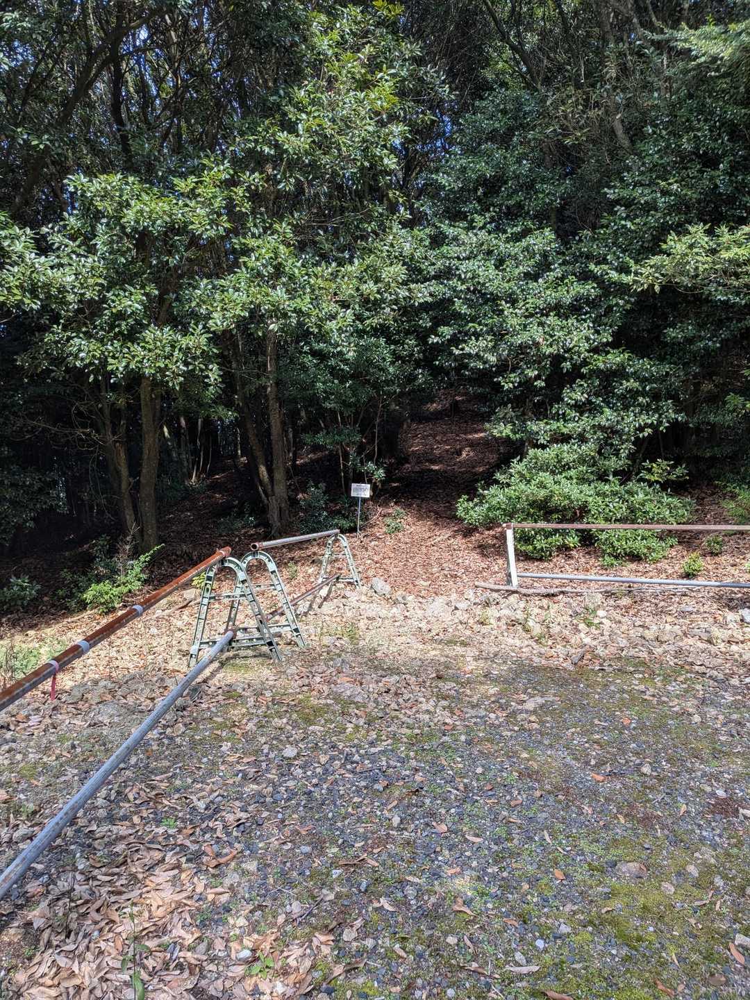 舗装路から山頂への入口。