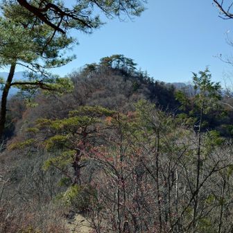 樹間から見えた景色、天狗山。