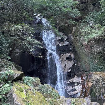 本日一番厳しい降りだった、御手洗の滝への下り道。ガチで怖い😱