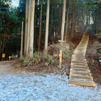 駐車場脇から左が巻道、右階段陣馬山直登コース
もちろん迷わず階段へ