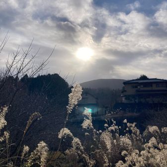 太陽出てきました ~🌞