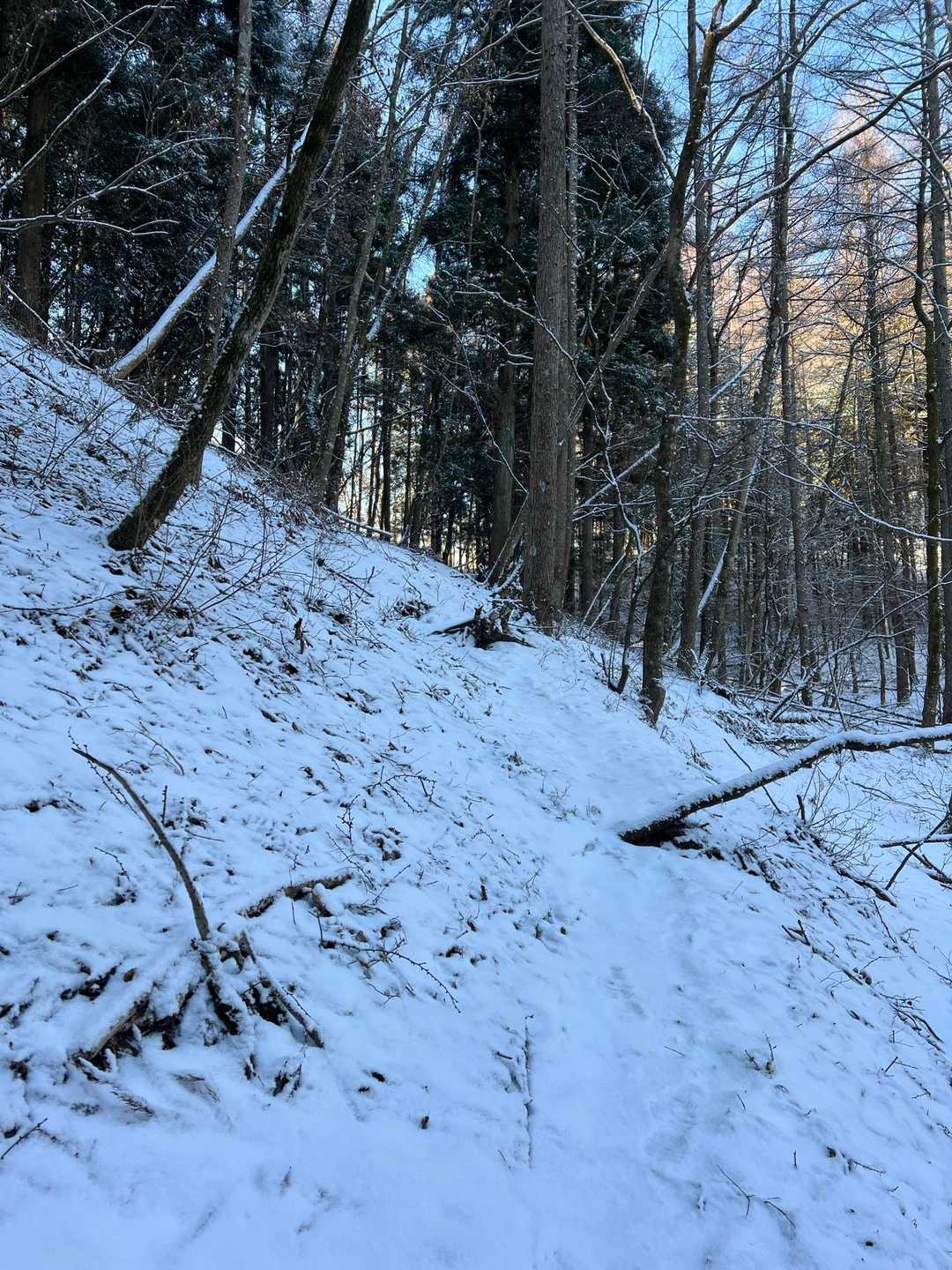 山頂手前は硬い雪❄️