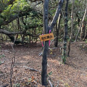 本日最後のピーク、提灯講山。