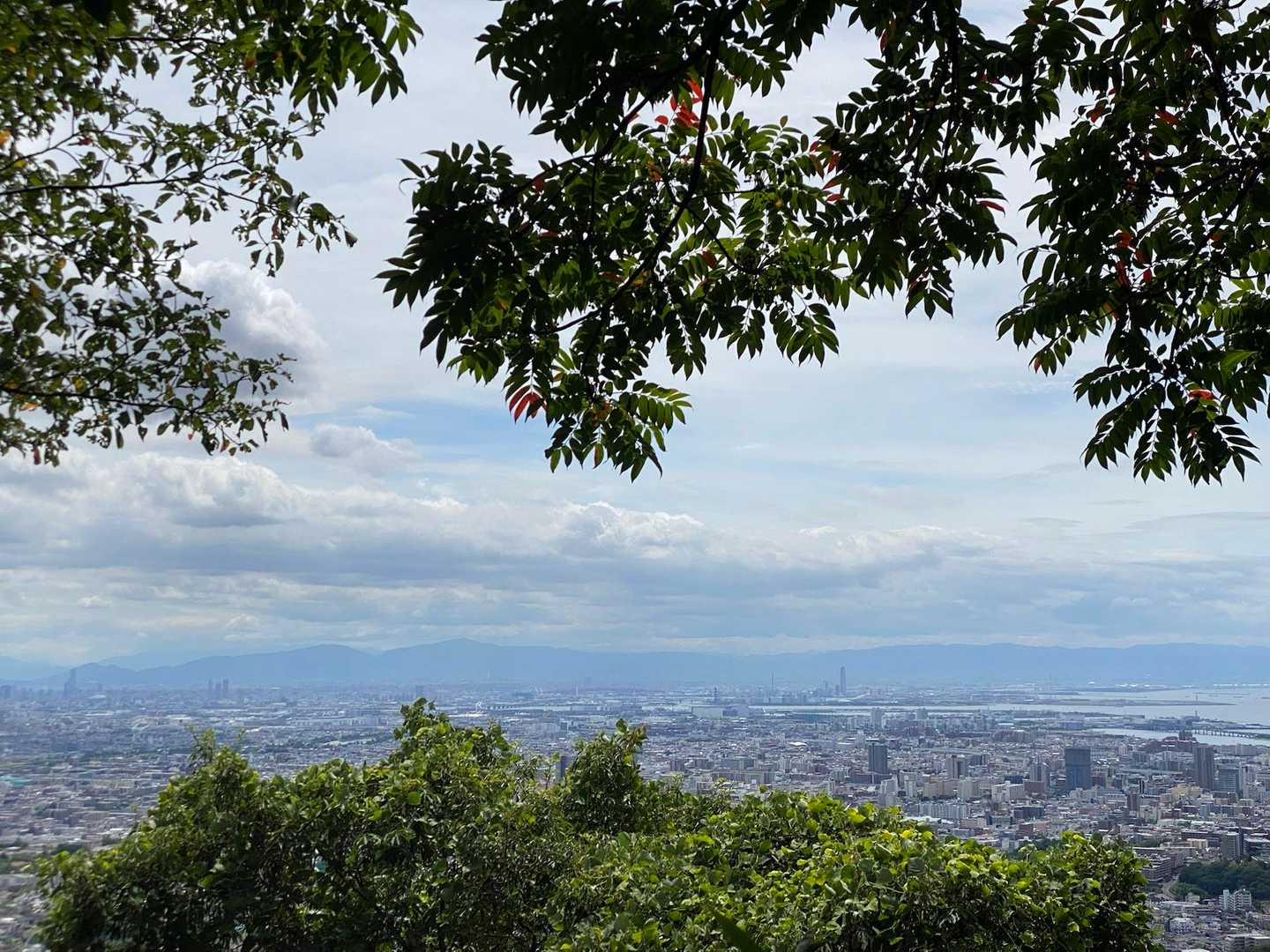 甲山-神呪寺 周回コースの写真