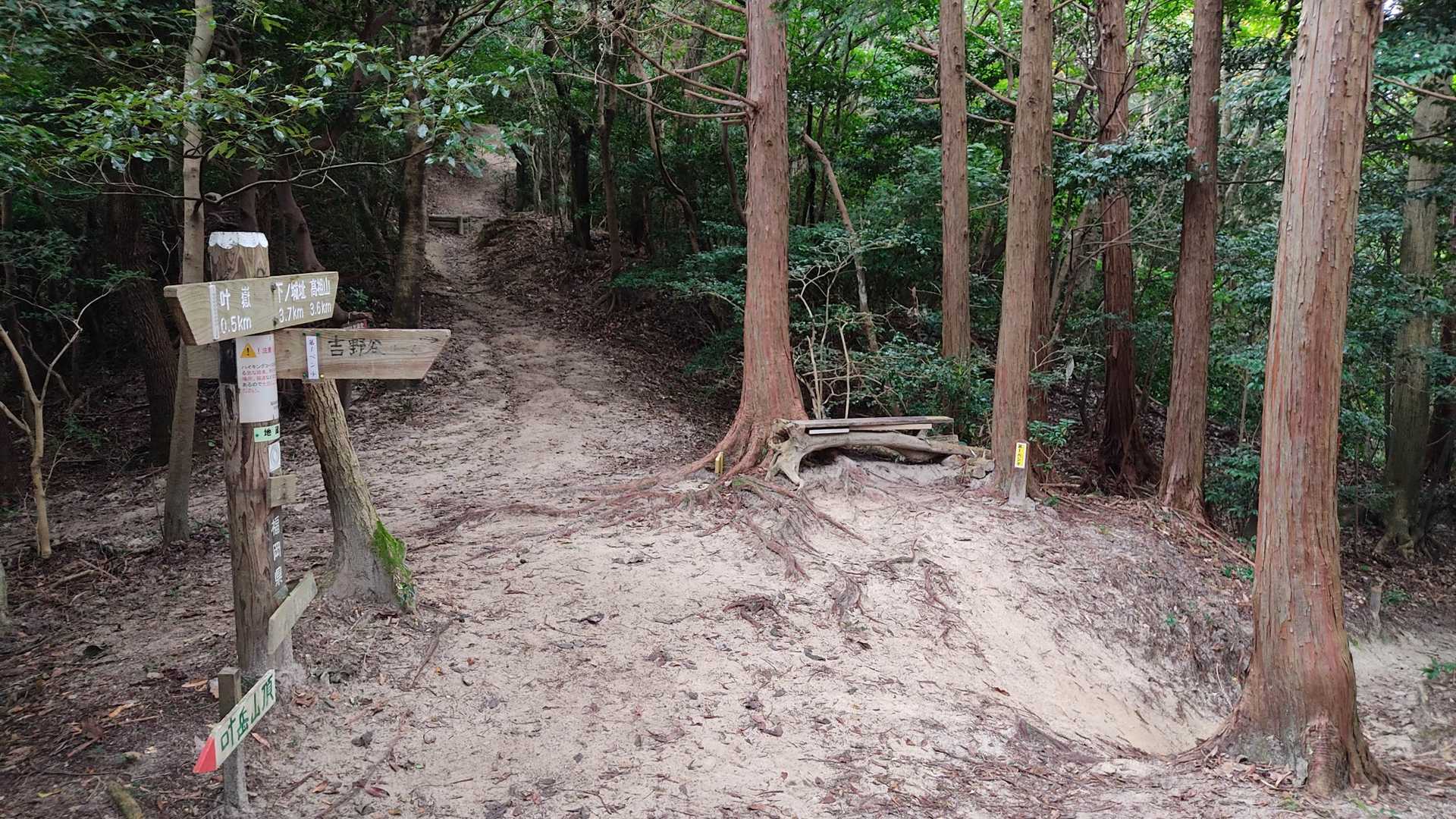 そしてここを右折