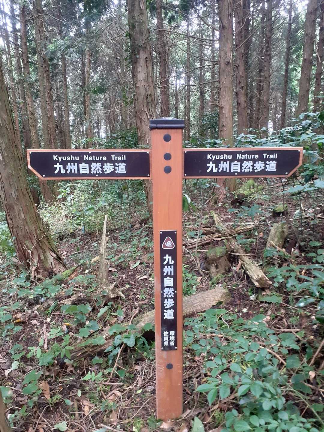トレイルは意外と分かりやすい