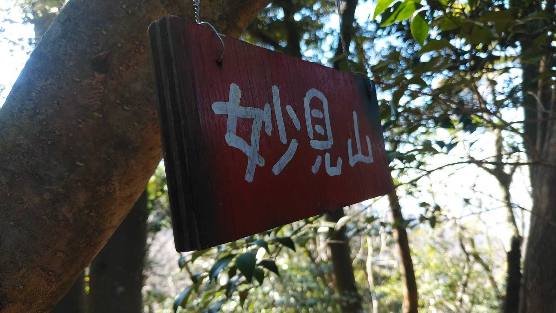 最後のピーク、結局どのピークも展望ゼロー！