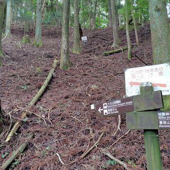 鳥居沢山西登山口。ここの取り付きも、分かり難い……まあ上のほうにも看板があるので、ここかな？と見当は付きます