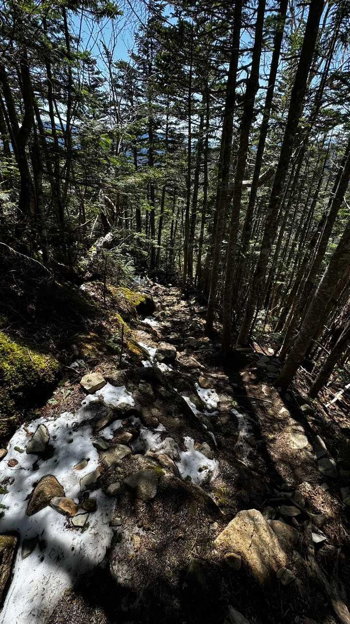 三宝山・甲武信ヶ岳縦走 の写真 31