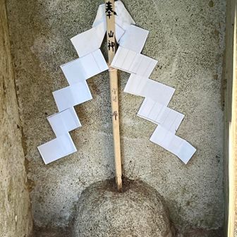 こちらもアップすれば！
トンボ N N