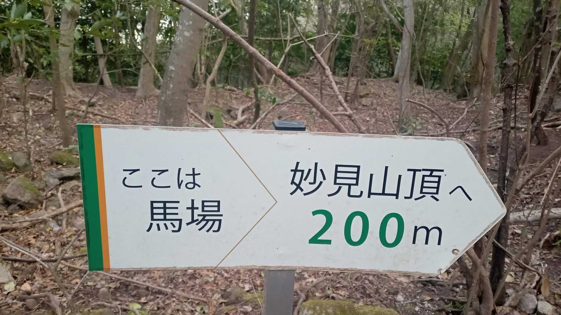馬場。

私の小学校1年生の時の担任の先生は、馬場章子先生だった。毎日山を2つ3つ越えて来てると言われてたので、子供なりにすごいとこから来てると想像してた。今思えば、河内方面だったようだ。

そんな、馬場、の個人的な思い出🤭