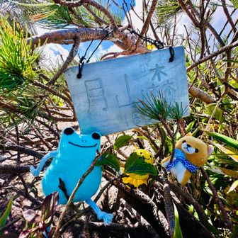 そして月山森登頂🙌