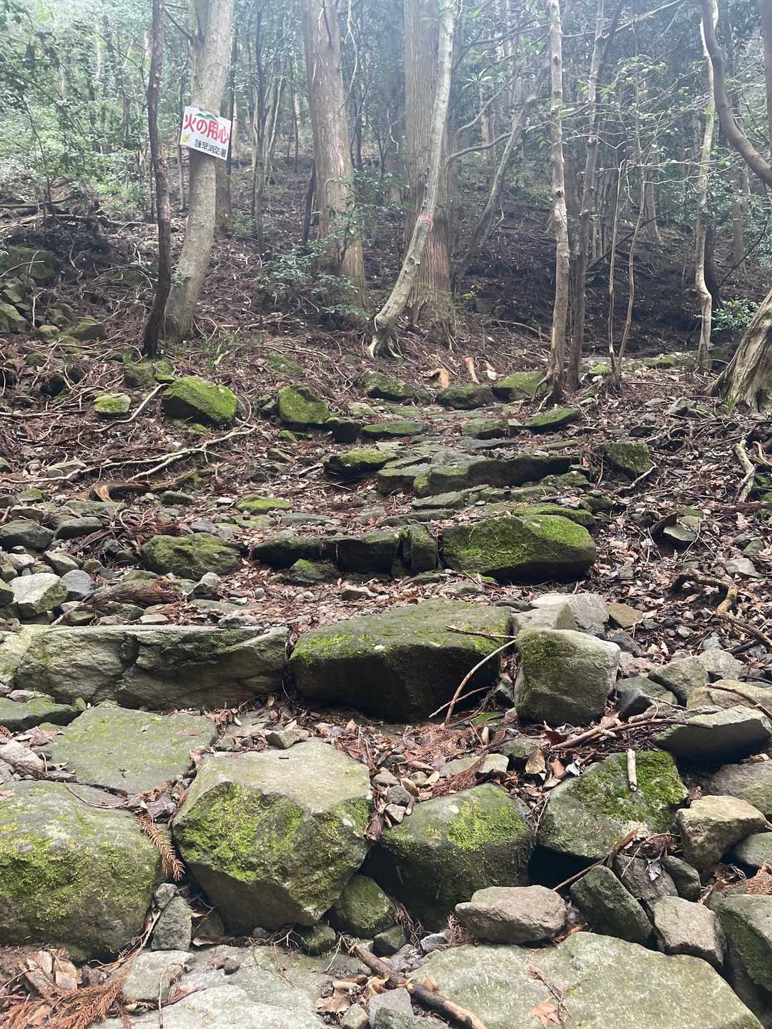 国見岳-黒木岳 往復コースの写真