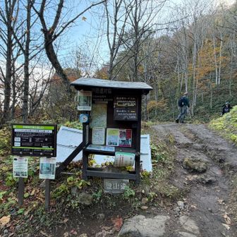 登りはここから