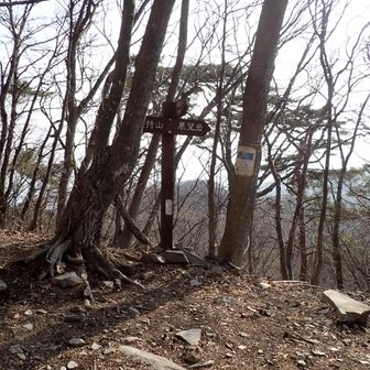 分岐☝️
(別口の登山道と合流)

