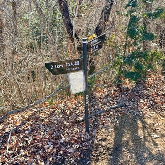 ねん坂方面へ下山します。