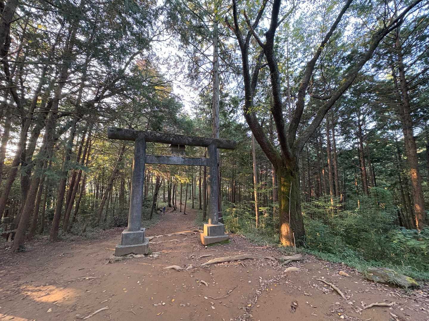 一の鳥居⛩️
今から登るご家族連れやトレランの方とすれ違い
日和田山、愛されてますね👏
みんな楽しんできて〜🏳️