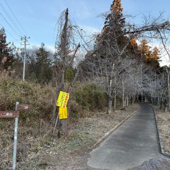 ここからスタートです