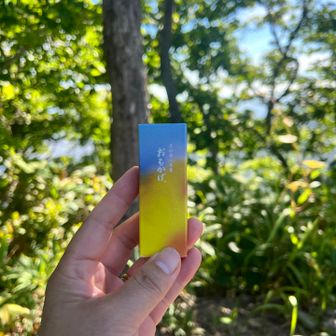 山おやつは東京の娘から送られてきた、暑中見舞いの虎屋の羊羹