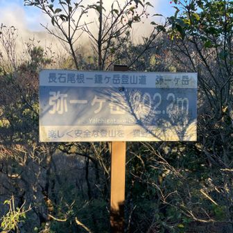 一つ目のピーク