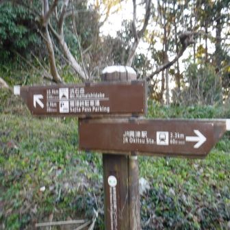 小さな墓地の中を進む