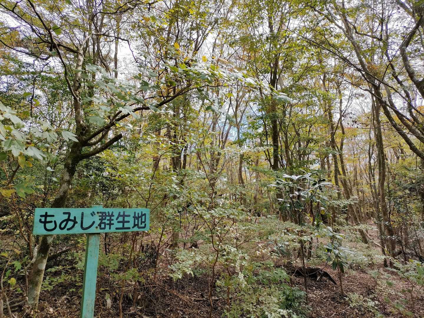 栗野岳第2峰-栗野岳 周回コースの写真