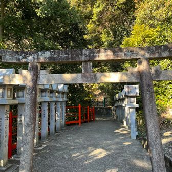凄く低い鳥居⛩️