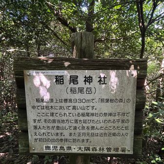 ここが山頂