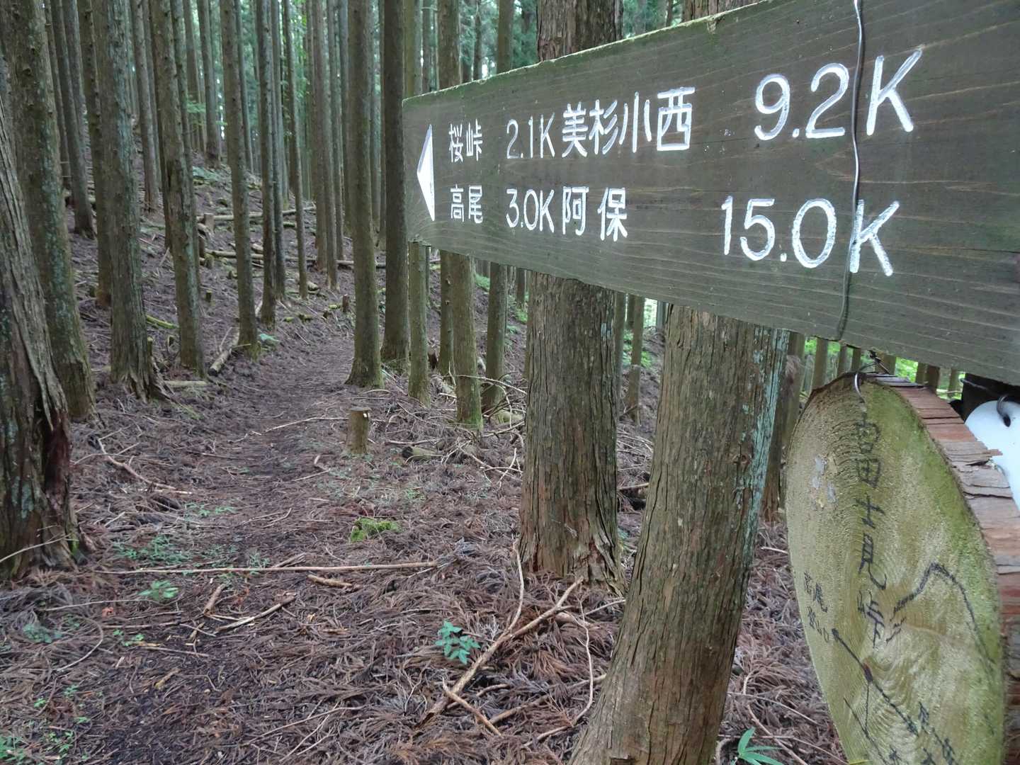 尼ヶ岳 往復コースの写真