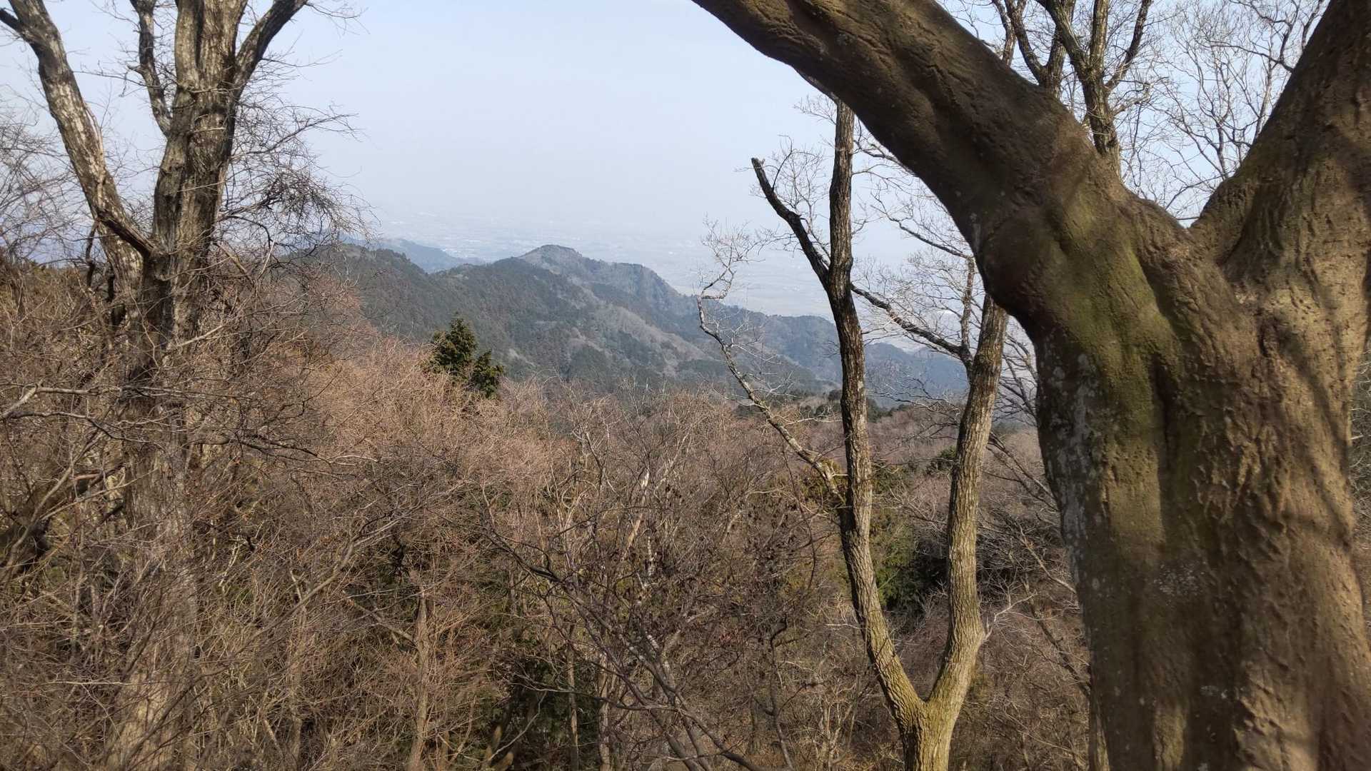 歩いて来た道を振り返る