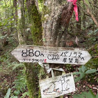 パノラマ展望台へ