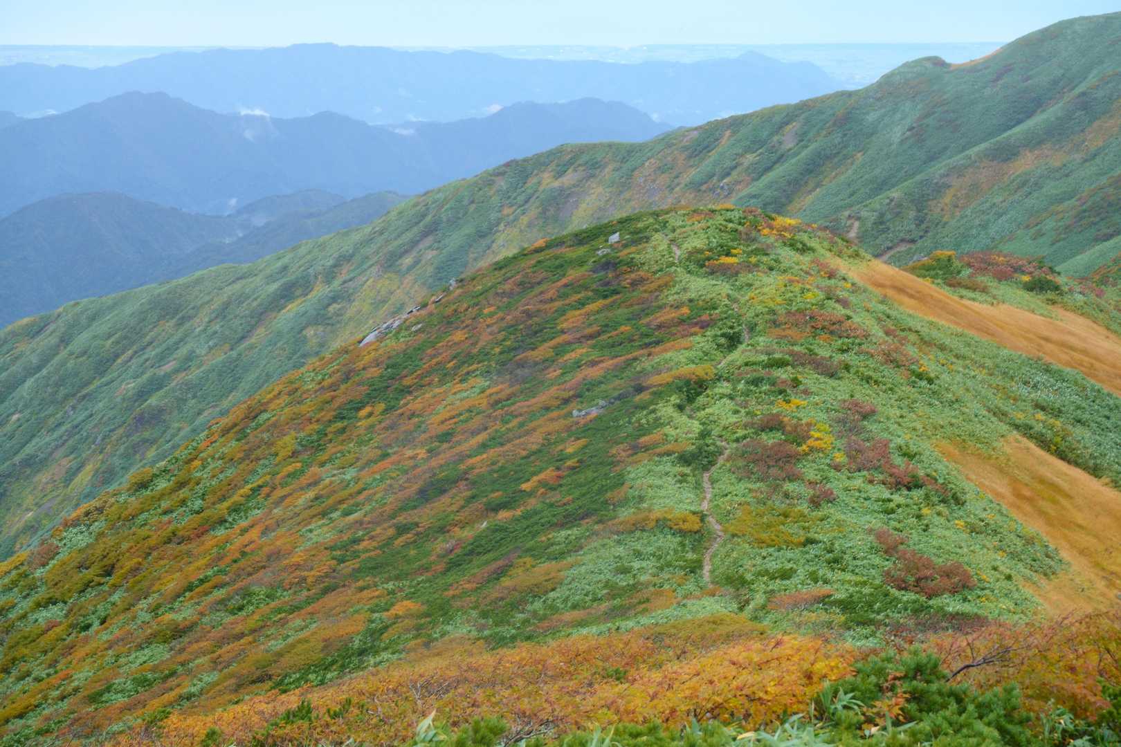 天狗平コース登山口-桧山沢吊橋-休場ノ峰-千本峰-宝珠山- 周回コースの写真