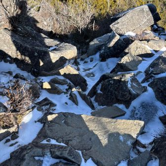 凍結に途方に暮れる😩

「黒金山」行きの計画も北側の凍結にビビり潔く撤退