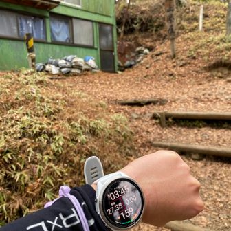 でもここまで良いペースで来れてる！