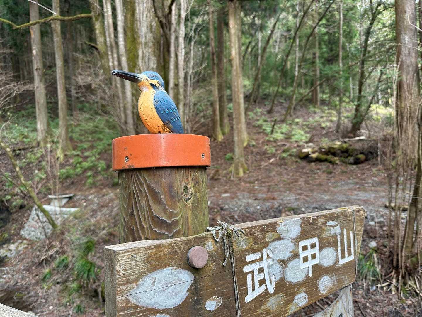 こちらにも🐧