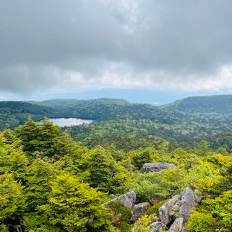 白駒池見えてます。
あそこまで歩きます。