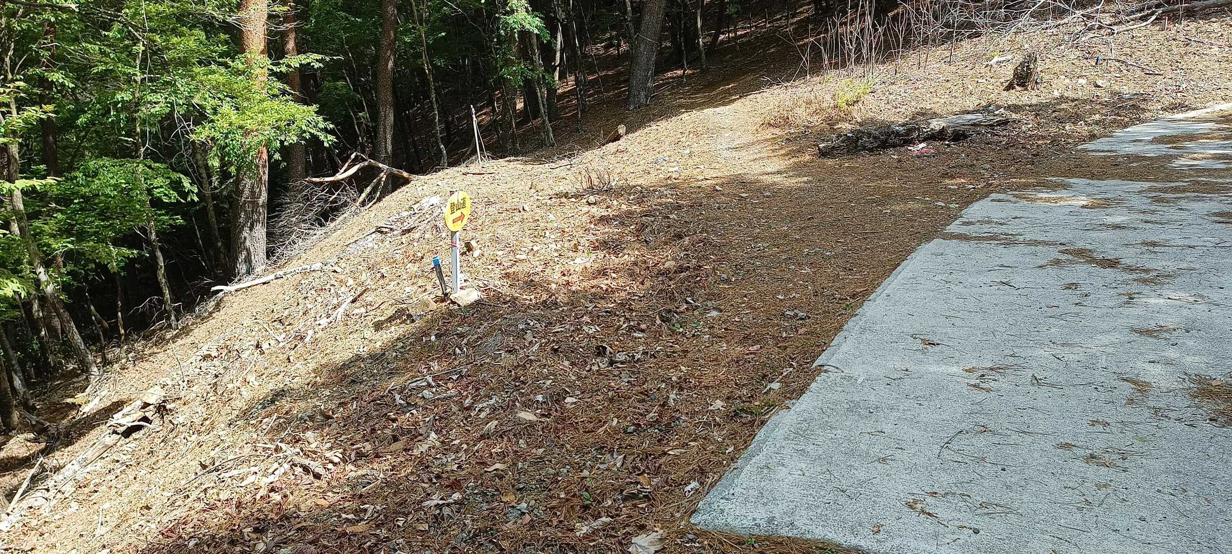 ショートカットの山道へ