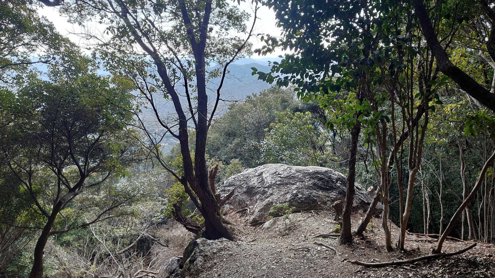 京路山登山口-京路山 往復コースの写真