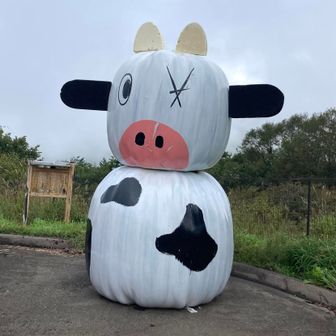 清里名物が🅿️にも